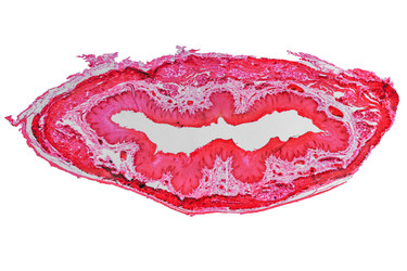 Similar image 6673882