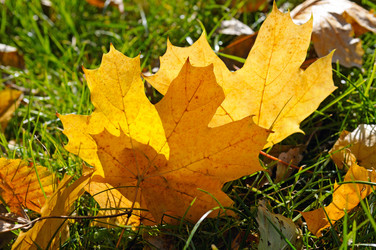 Similar image 6674053