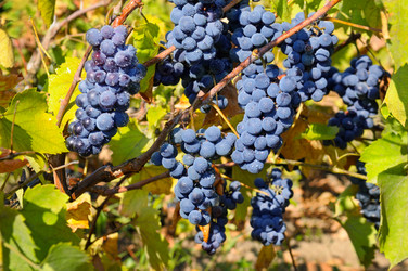 Similar image 6674055