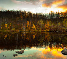 Similar image 6692624