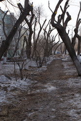 Similar image 6692626