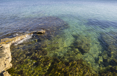 Similar image 6692635