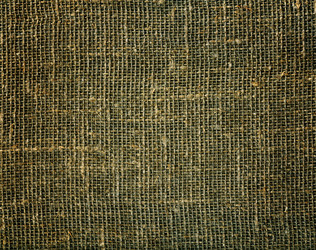 Similar image 6692692