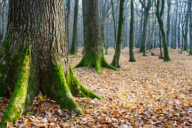 Similar image 6692790