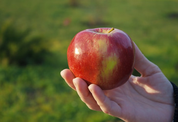 Similar image 6692795