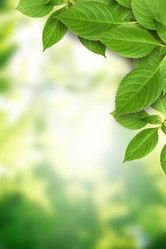 Similar image 6692842