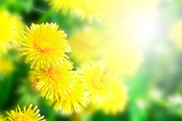 Similar image 6692843