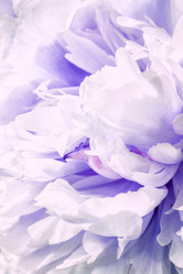 Similar image 6692857