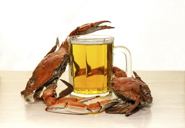 Similar image 6693011