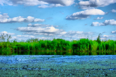 Similar image 6693018