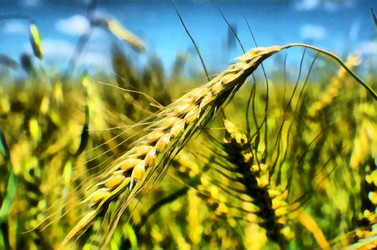 Similar image 6693035