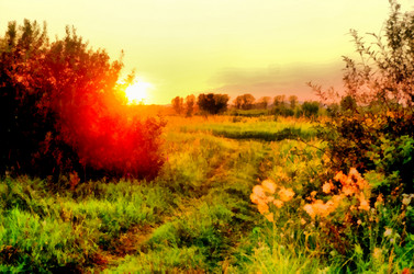 Similar image 6693037