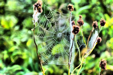 Similar image 6693046