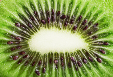 Similar image 6693105