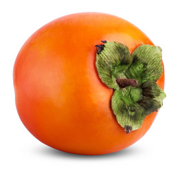 Similar image 6693111