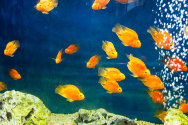 Similar image 6693167