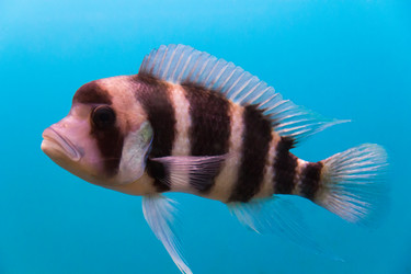 Similar image 6693177