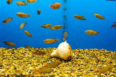 Similar image 6693180