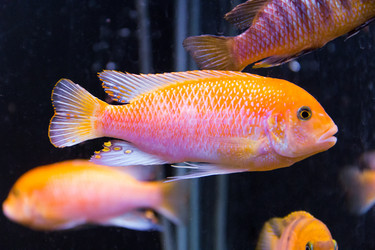 Similar image 6693181