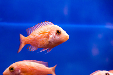 Similar image 6693183