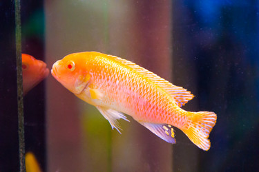 Similar image 6693185