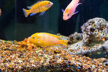 Similar image 6693198