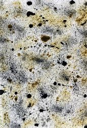 Similar image 6693562