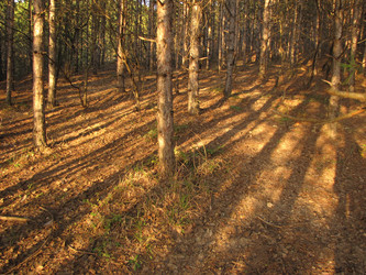 Similar image 6693678