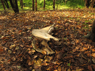 Similar image 6693679