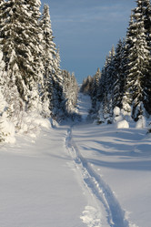 Similar image 6693725