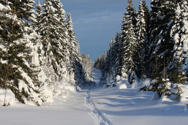 Similar image 6693726