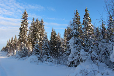 Similar image 6693727