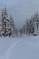 Similar image 6693729