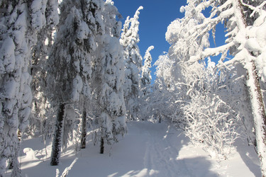 Similar image 6693735