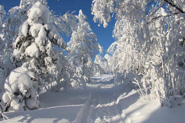 Similar image 6693736