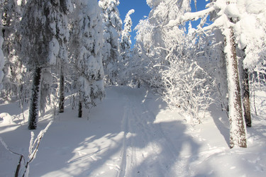 Similar image 6693742