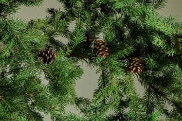 Similar image 6693767