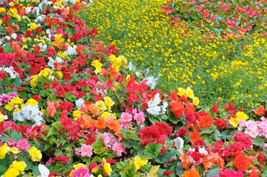 Similar image 6693841