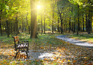 Similar image 6693842