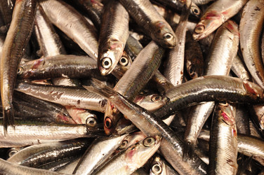 Similar image 6693862