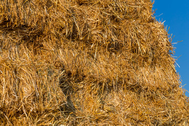 Similar image 6693946