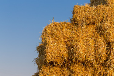 Similar image 6693952