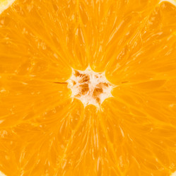 Similar image 6693998