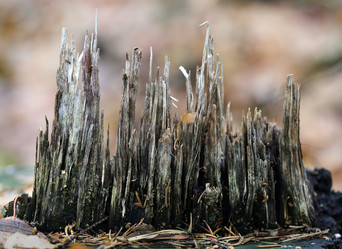 Similar image 6694034