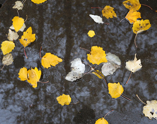 Similar image 6694037