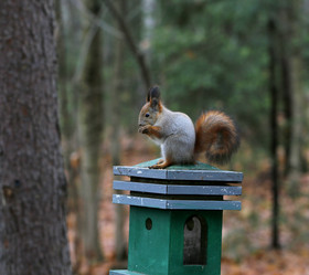 Similar image 6694041