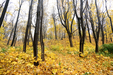 Similar image 6694042