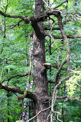 Similar image 6694061