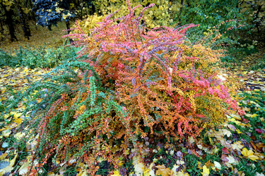 Similar image 6694071