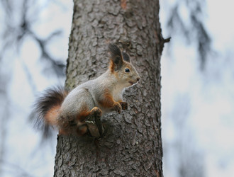 Similar image 6694075